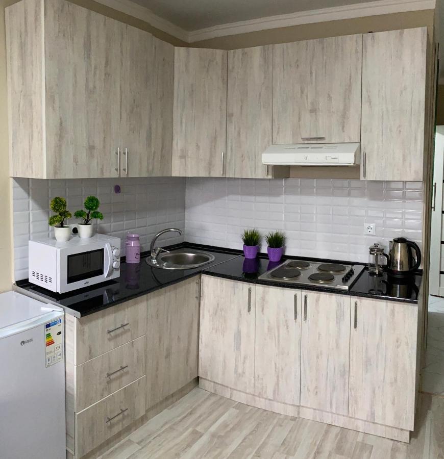 Apartmán Оригинальная 1 Ком Квартира В Сердце Алматы Exteriér fotografie